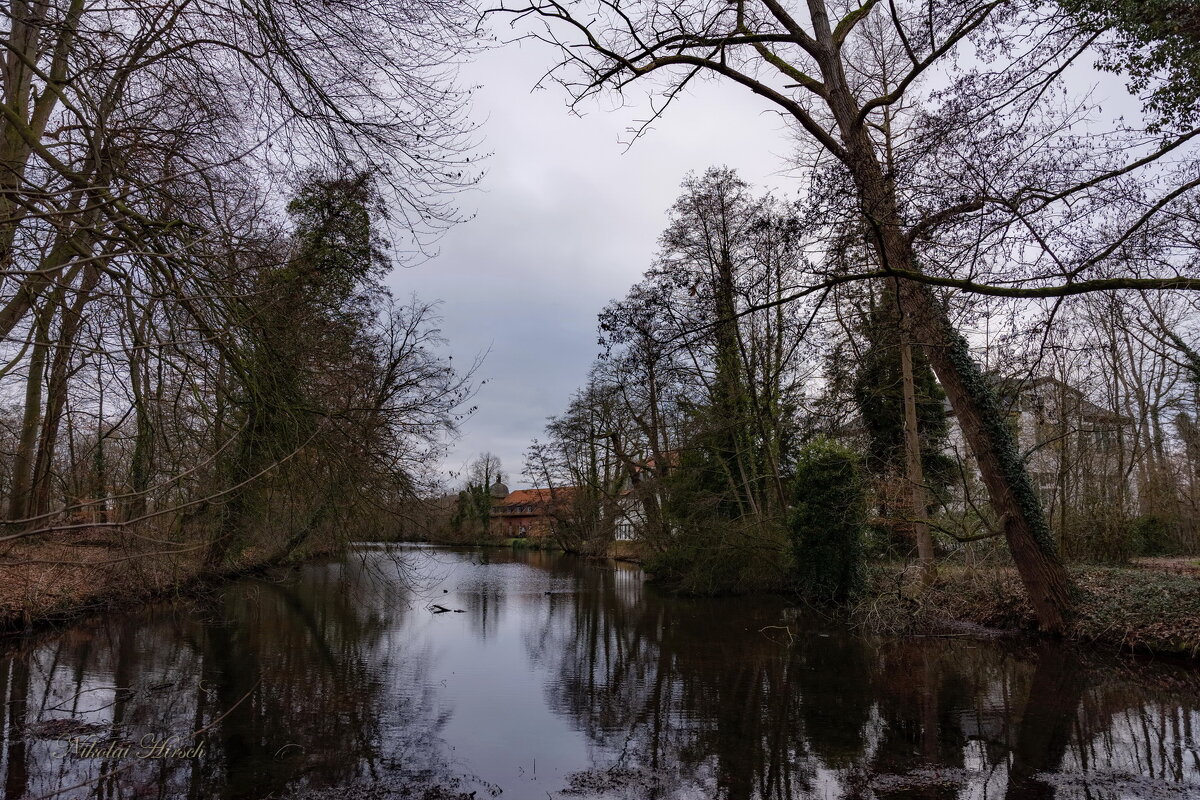 Январское... - Николай Гирш Январское... - Николай Гирш