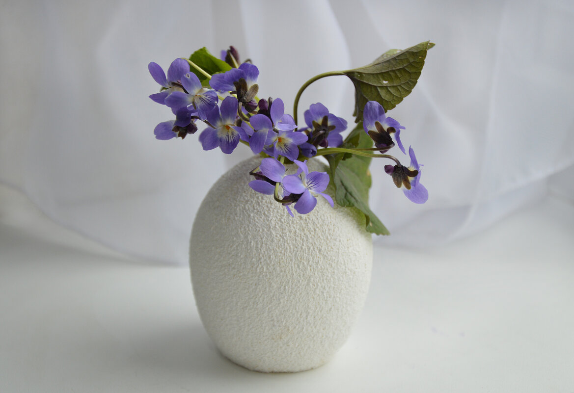 Фиалки - Надежда Куркина Фиалки - Надежда Куркина