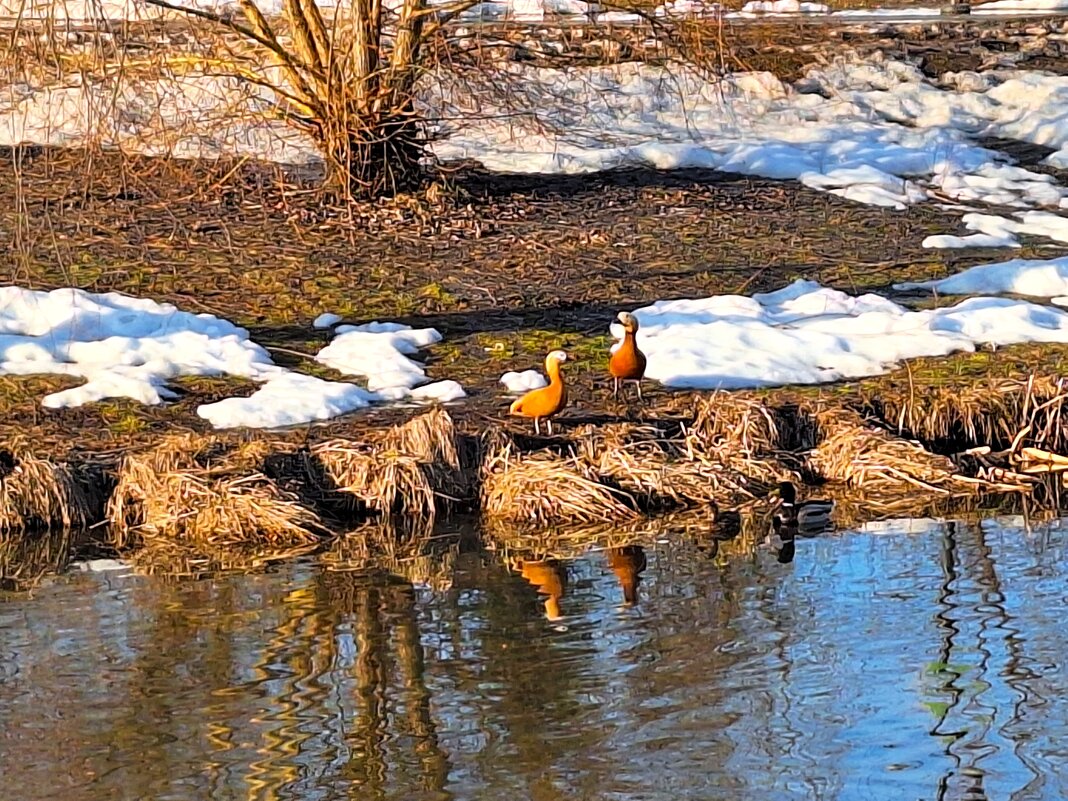 Яуза - Наталья 