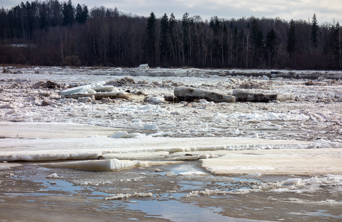 *** - Геннадий Порохов