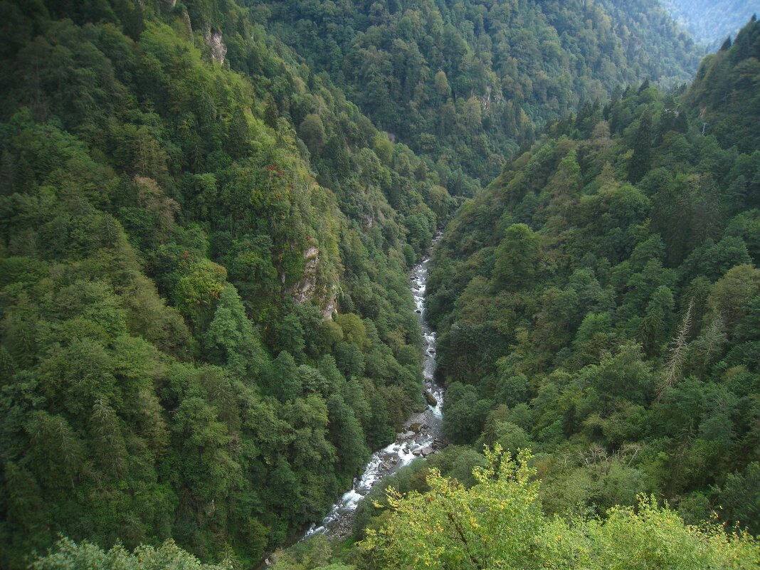 Ущелье реки Фиртина. - unix (Илья Утропов)