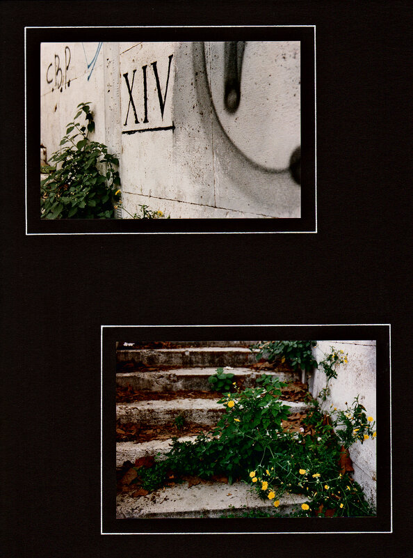 Рим, город и люди - 62 - Алексей Кузнецов