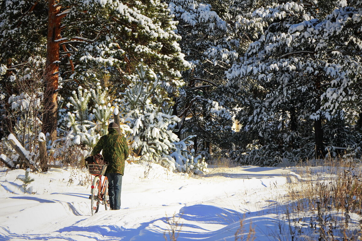 Пешеходы - Станислав ..