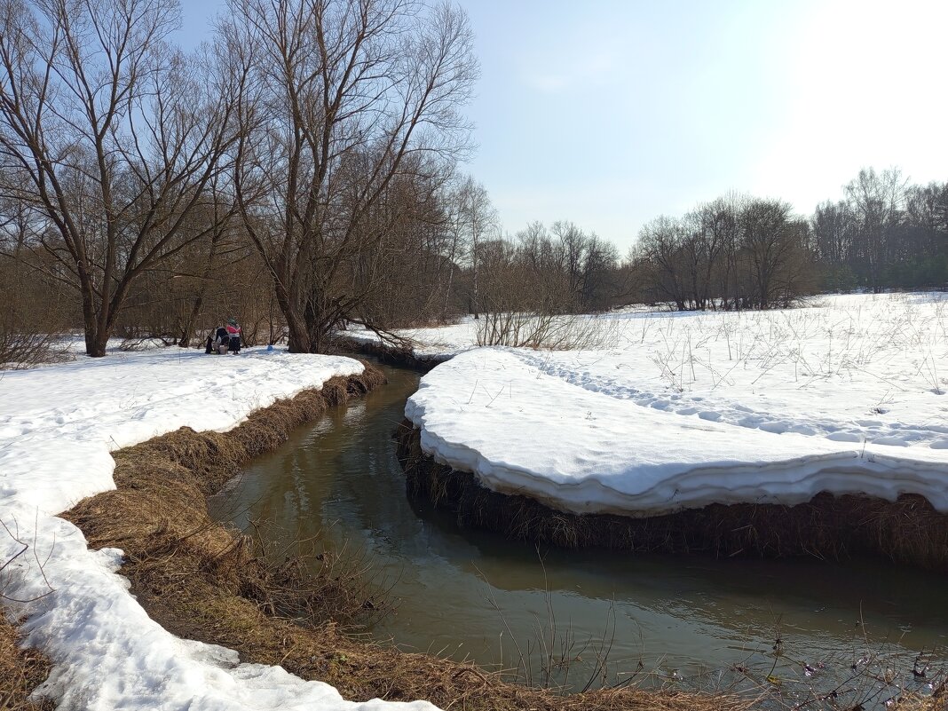 Измайловском парке - март - Андрей Лукьянов