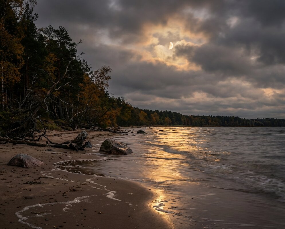 Луна в облаках над заливом - Лилия 