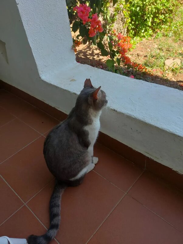 Любимое занятие - Ирэн 