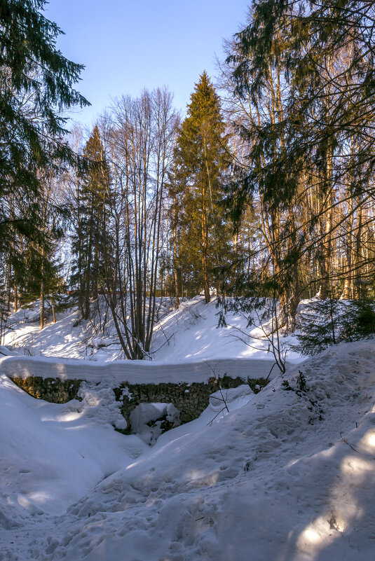Начало марта - Сергей Цветков