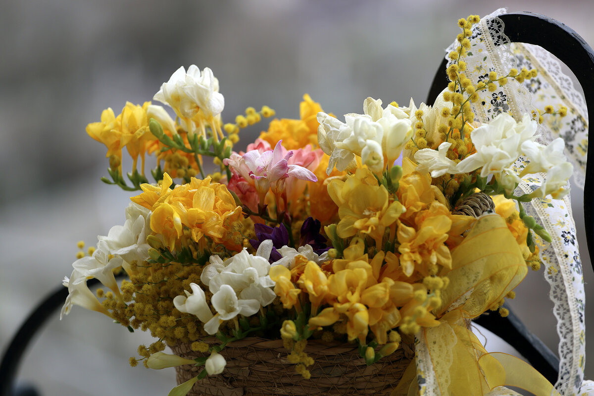 оттенки весны - Леонид 