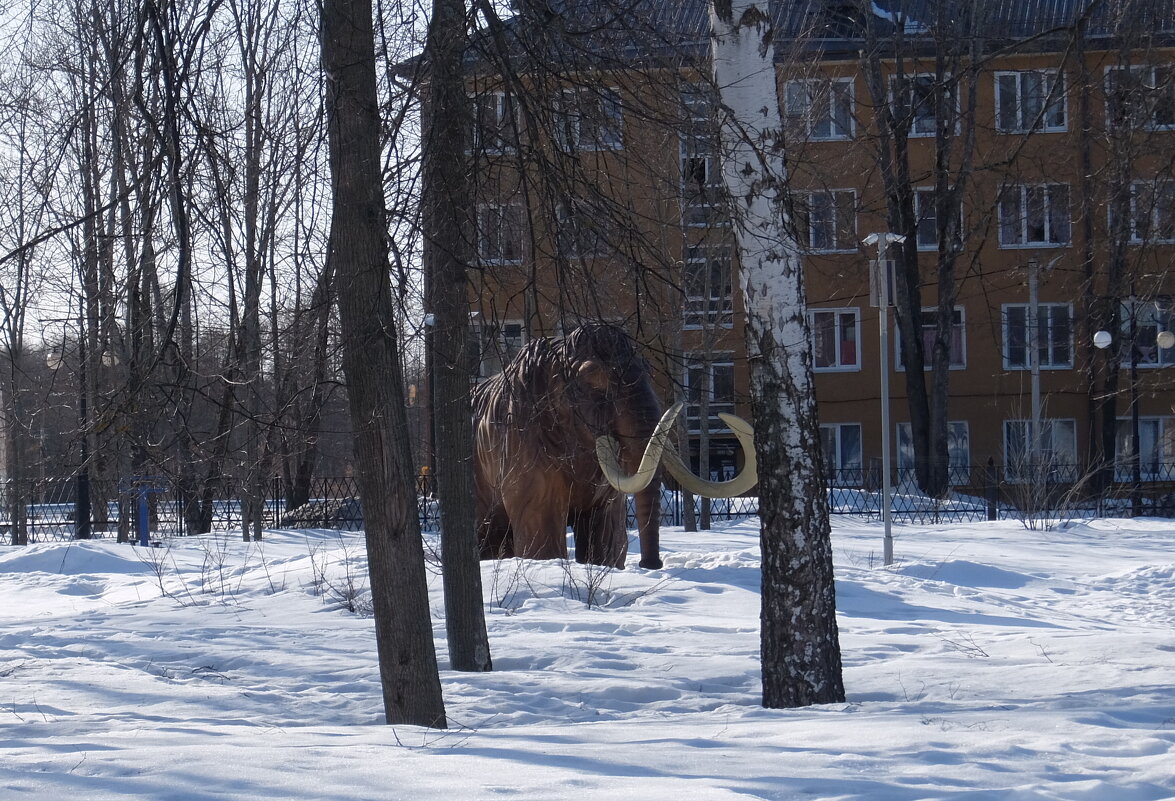 Мамонт в городе. - Люба Мамонт в городе. - Люба