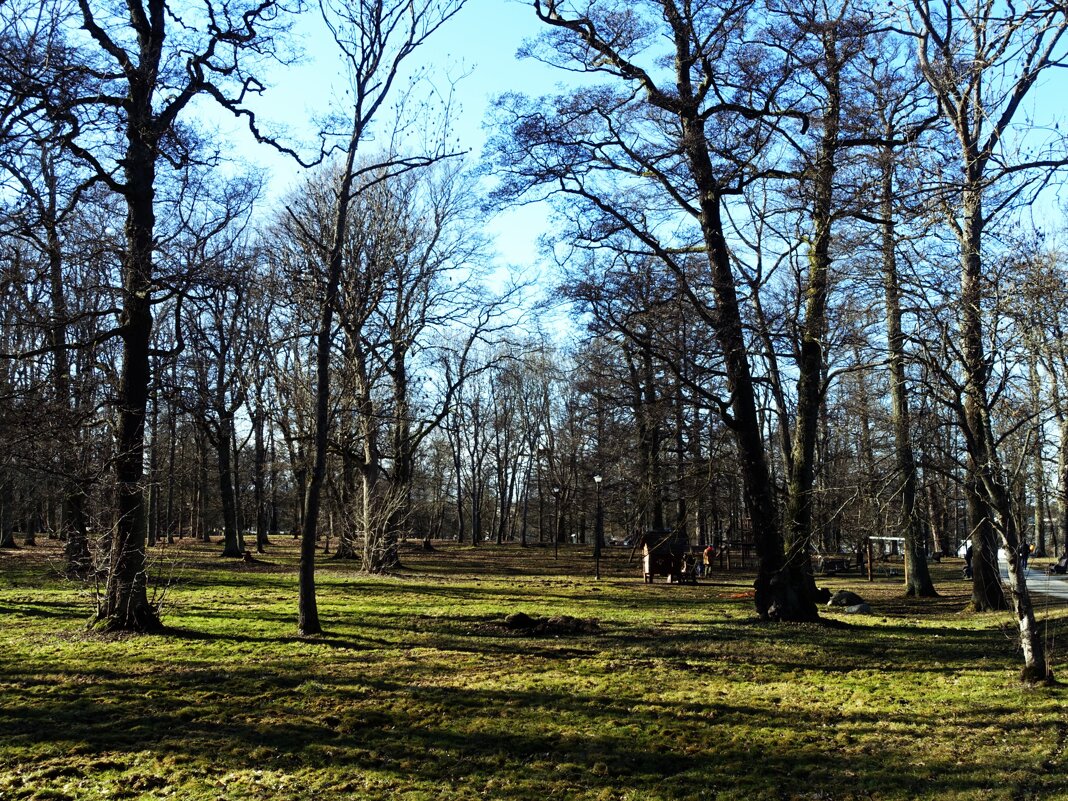 Весна в старинном парке - Aida10 