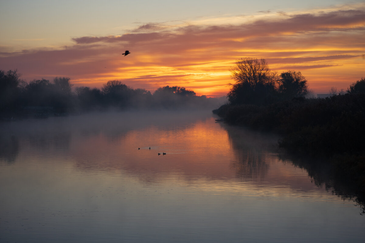 на рассвете - Марина 