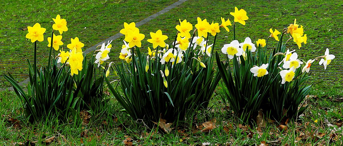 Весна(серия) - Владимир Манкер