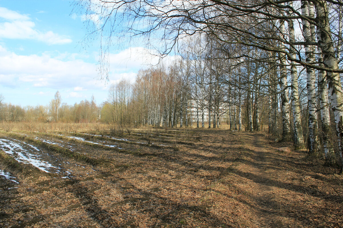 Весеннее настроение. - Наталья Лунева 