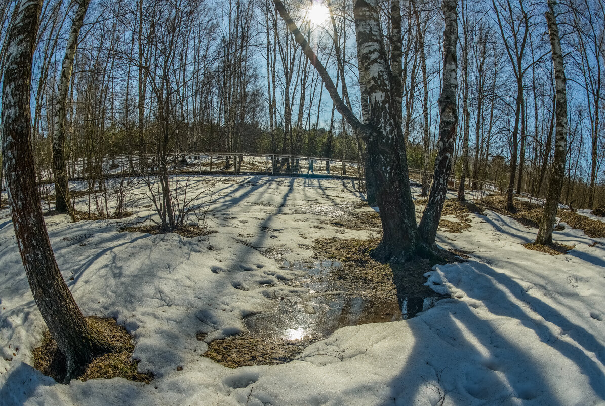 Сияет солнце в лужицах. - Николай Сияет солнце в лужицах. - Николай
