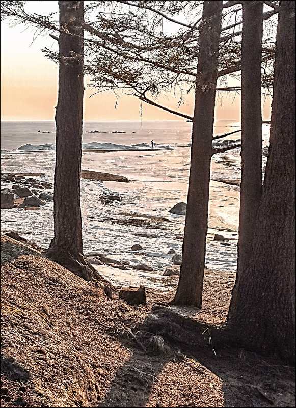 * * * - Андрей Бобин * * * - Андрей Бобин