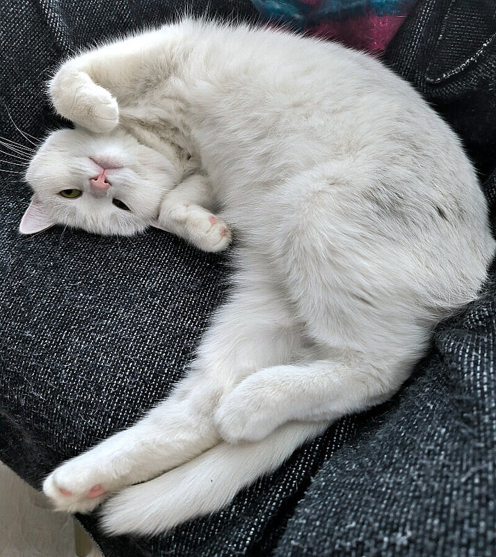 Буся - Елена 