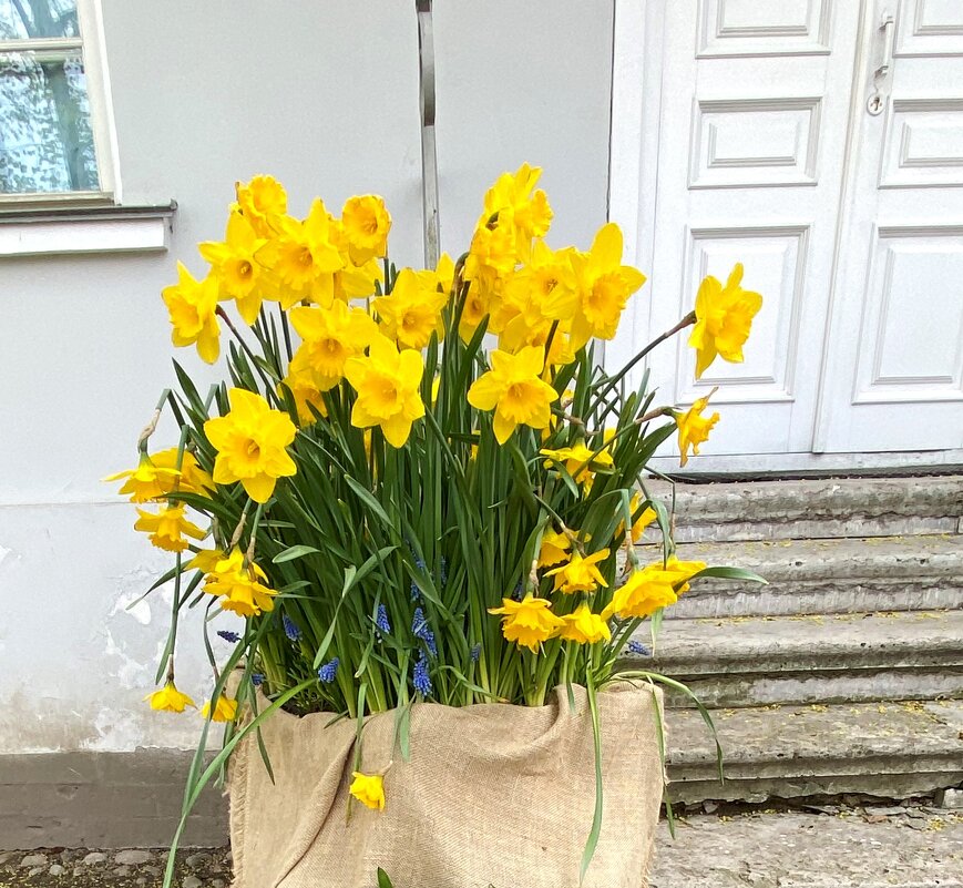 как проходит неделя: понедеееееельник… втооооорник… средааааааа… четвеееееерг… пятницасубботавоскрес - Таня Фиалка как проходит неделя: понедеееееельник… втооооорник… средааааааа… четвеееееерг… пятницасубботавоскрес - Таня Фиалка