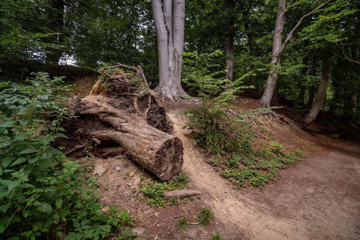 Следы былого... - Николай Гирш Следы былого... - Николай Гирш