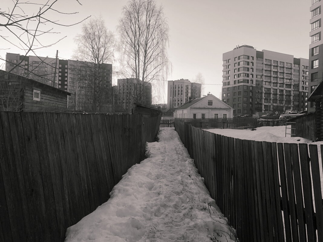 Фотография - Денис Безногов