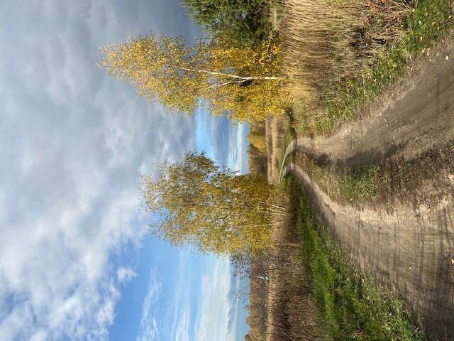 Октябрь 2022 - Ирина кустова