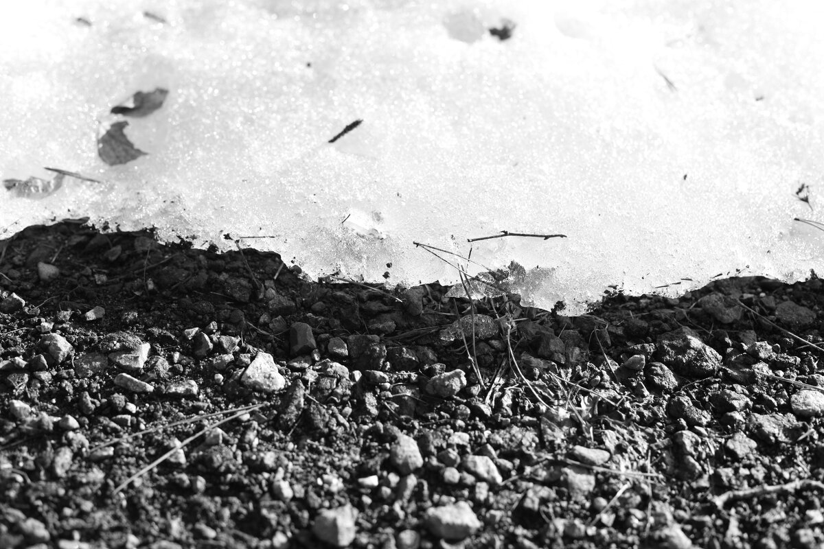 Мечты о ч/б Лейке 65. - Михаил Елочкин Мечты о ч/б Лейке 65. - Михаил Елочкин