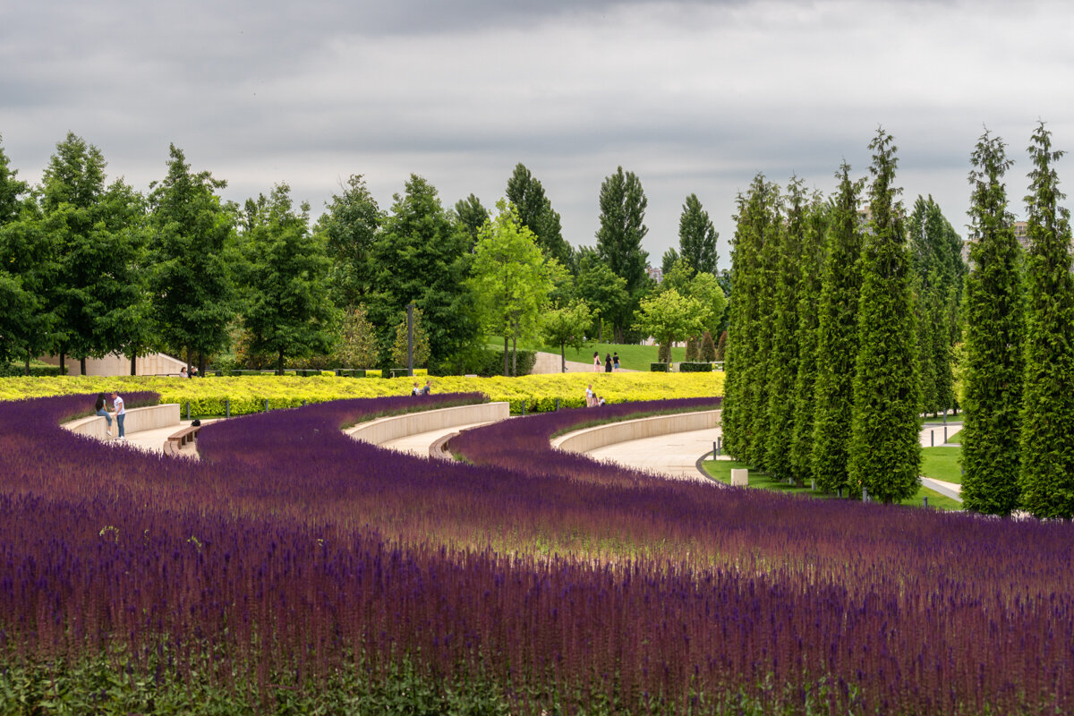 Парк Галицкого в городе Краснодар - Игорь Сикорский