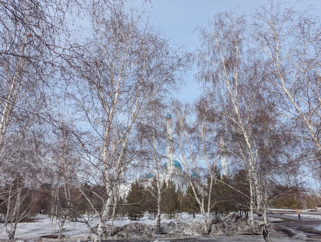 Мартовский солнечный денёк. - Андрей Хлопонин