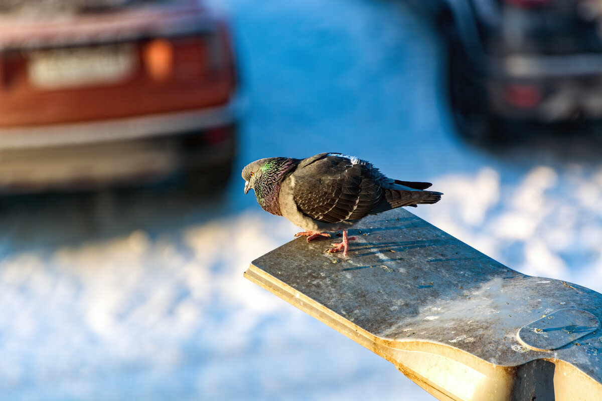 На посту - Виктор Орехов На посту - Виктор Орехов