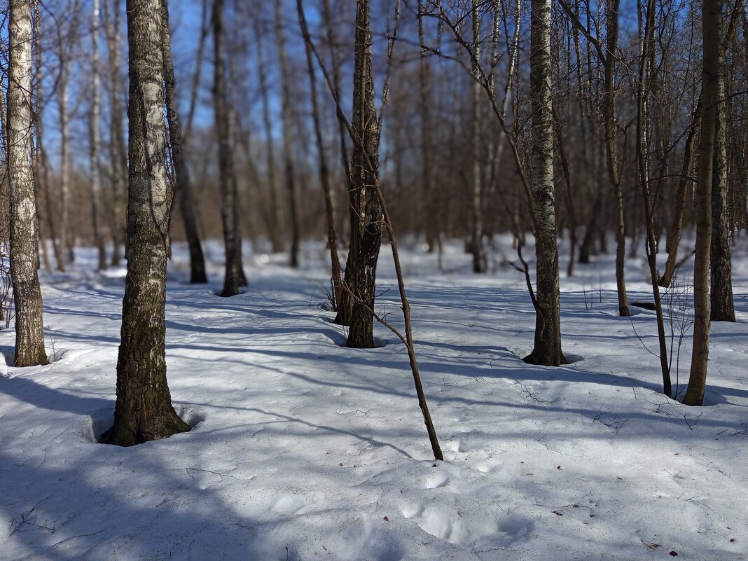 Март, которого жду целый год - Андрей Лукьянов