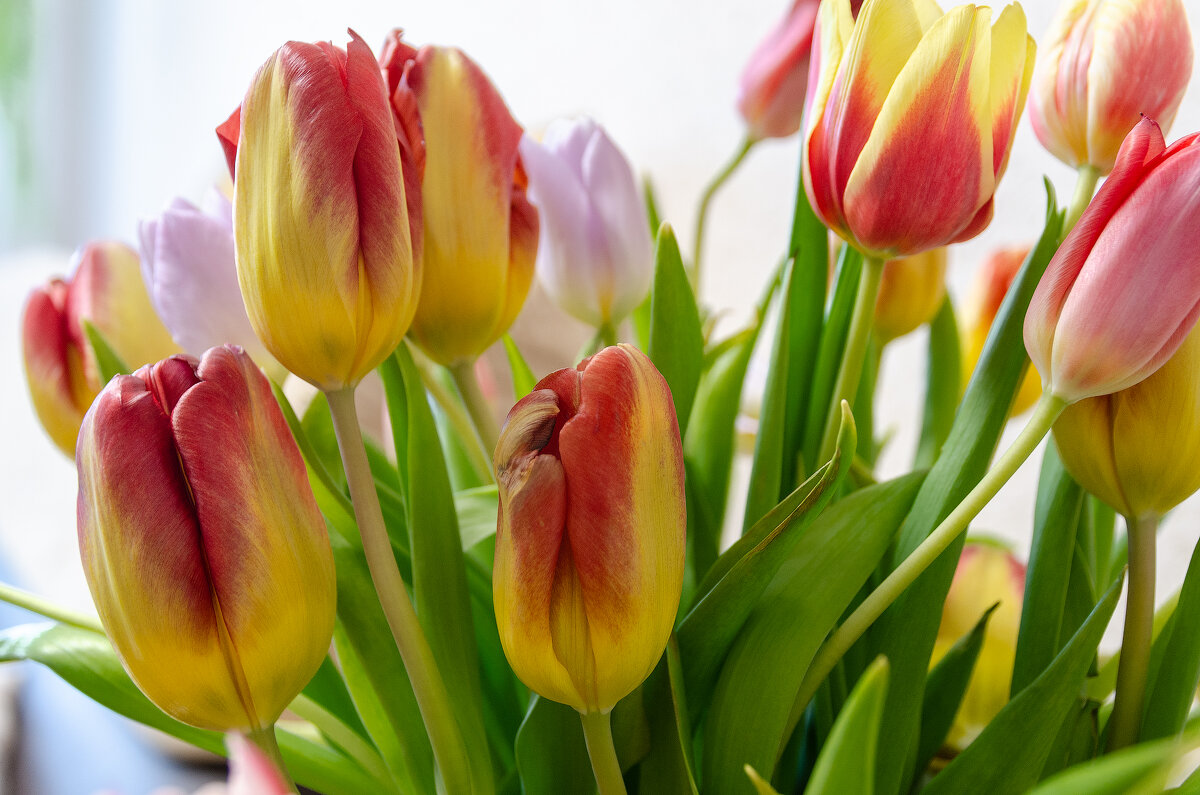 *** - Виктор Иванович Чернюк