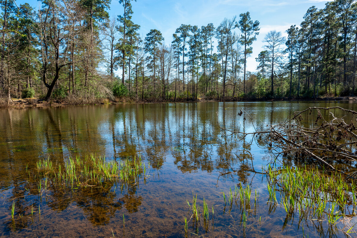 Озерцо - **** vedin Озерцо - **** vedin