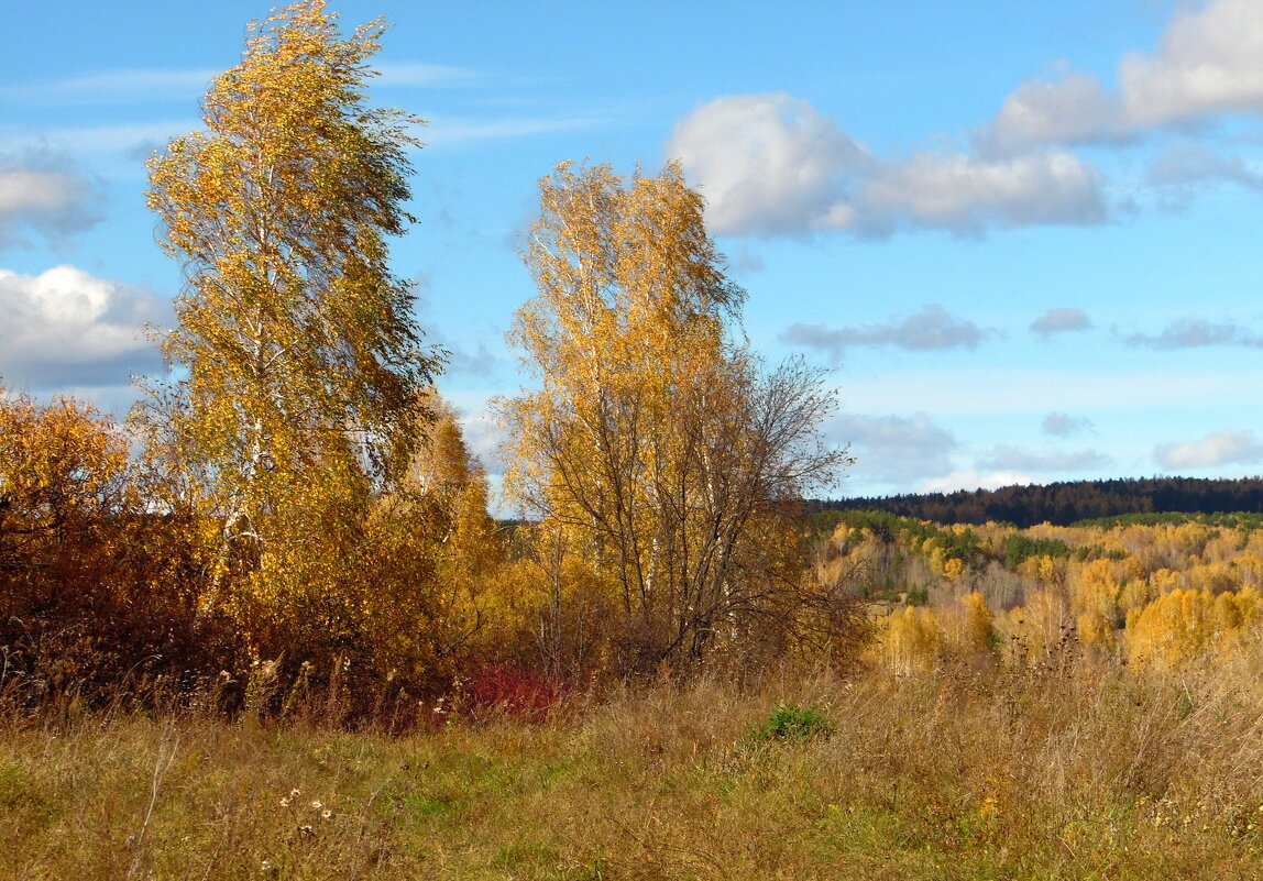 ОСЕННИЙ ВЕТЕРОК. - nadyasilyuk Вознюк ОСЕННИЙ ВЕТЕРОК. - nadyasilyuk Вознюк