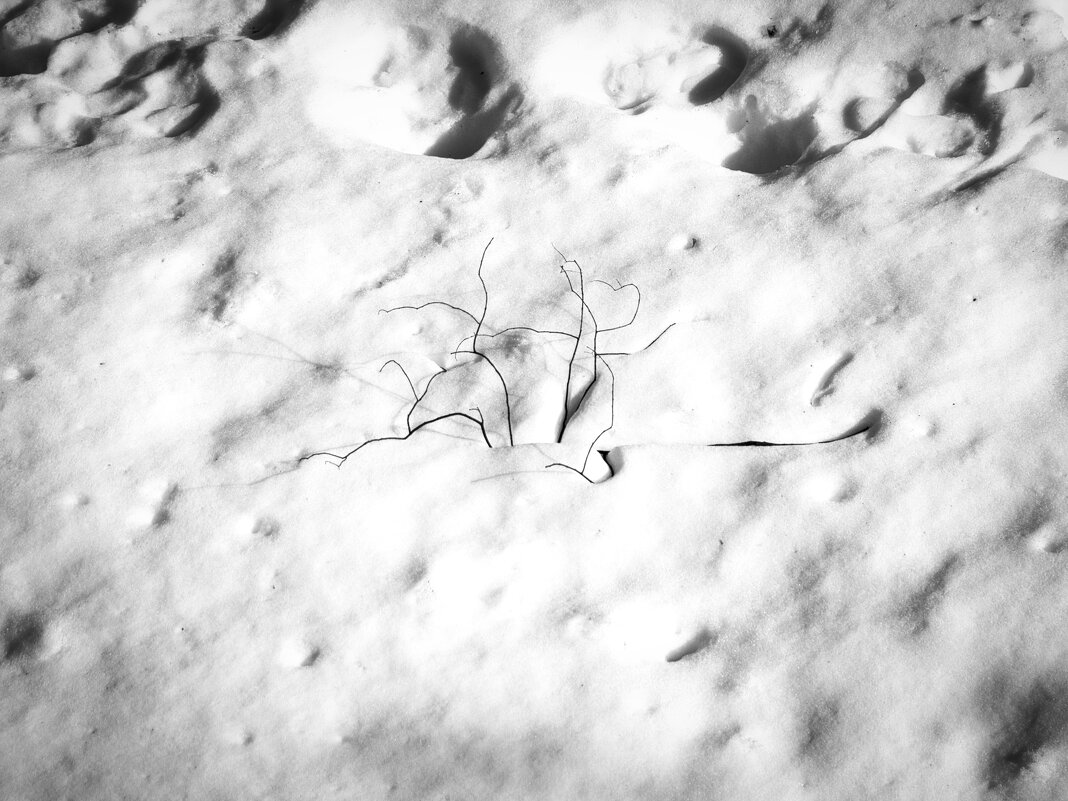 Фотография - Денис Безногов Фотография - Денис Безногов