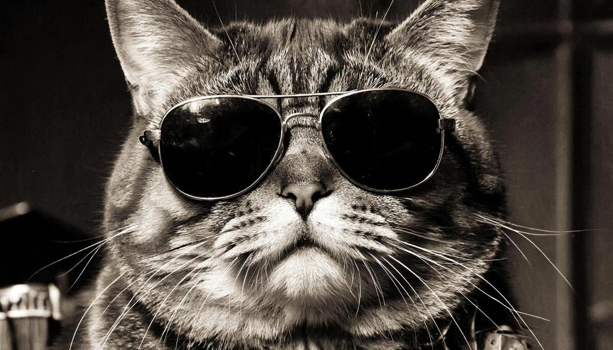 Вот прикупил-на улице солнце яркое! - СЕРГЕЙ ФИЛОЧКИН