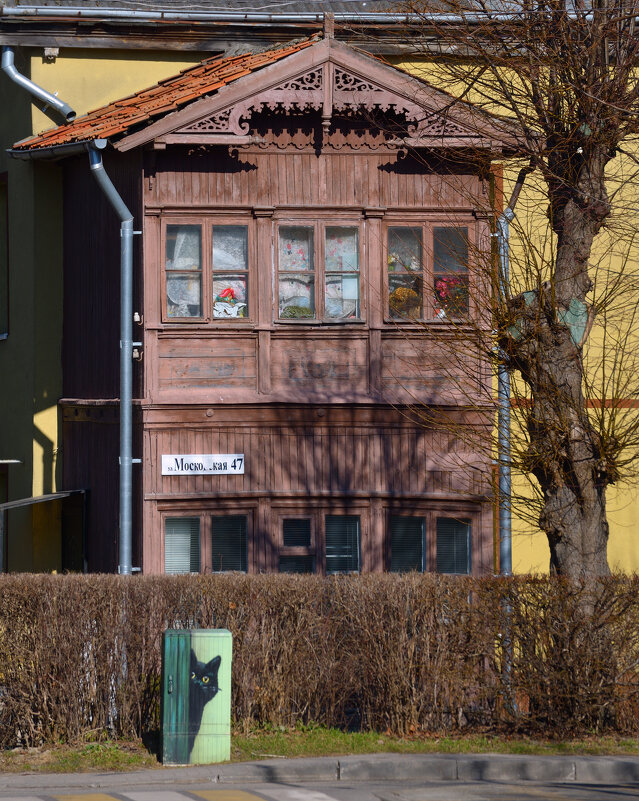 Кусочек Зеленоградска. - Константин Белоногов