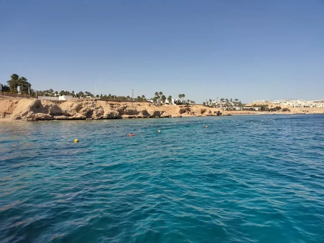 Египет. Красное море - Ирэн Египет. Красное море - Ирэн