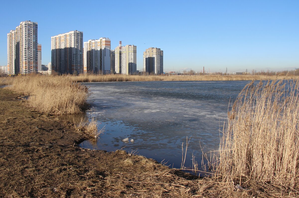 Весна в Купчино - Наталья Герасимова Весна в Купчино - Наталья Герасимова
