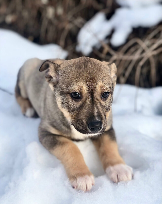 D - Андрей Л. В. D - Андрей Л. В.