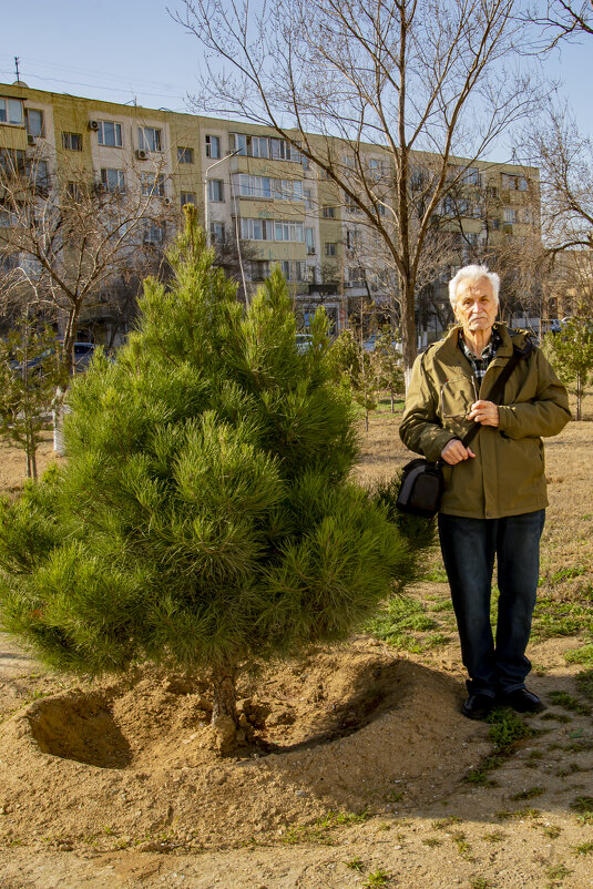 У ёлки - Анатолий Чикчирный
