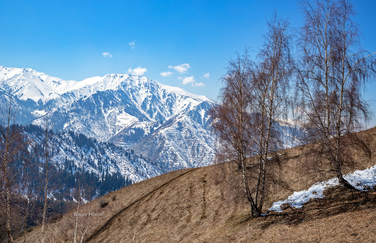 Март.  Снег постепенно сходит... - Сергей Мурзин