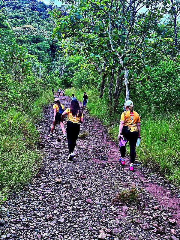 ОРГАНИЗОВАННЫЙ   ПОХОД - Анатолий Малобродский