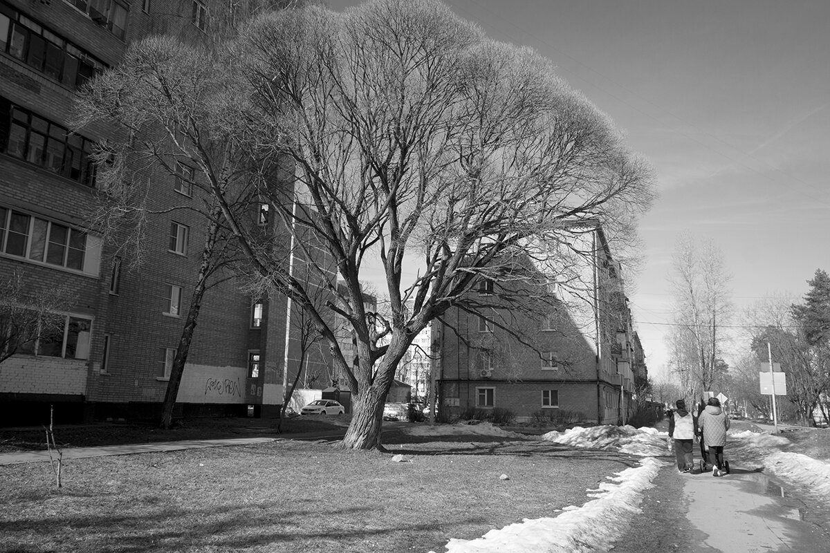 Март 2026 - Владимир Носов