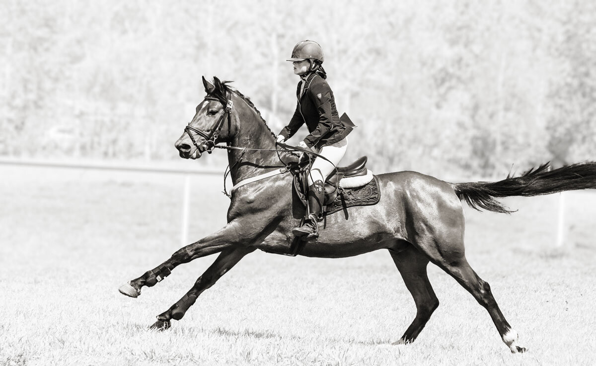 Конкур - SanSan 