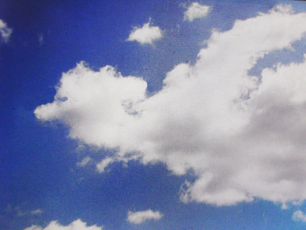 Летящее чудо - Людмила Смородинская