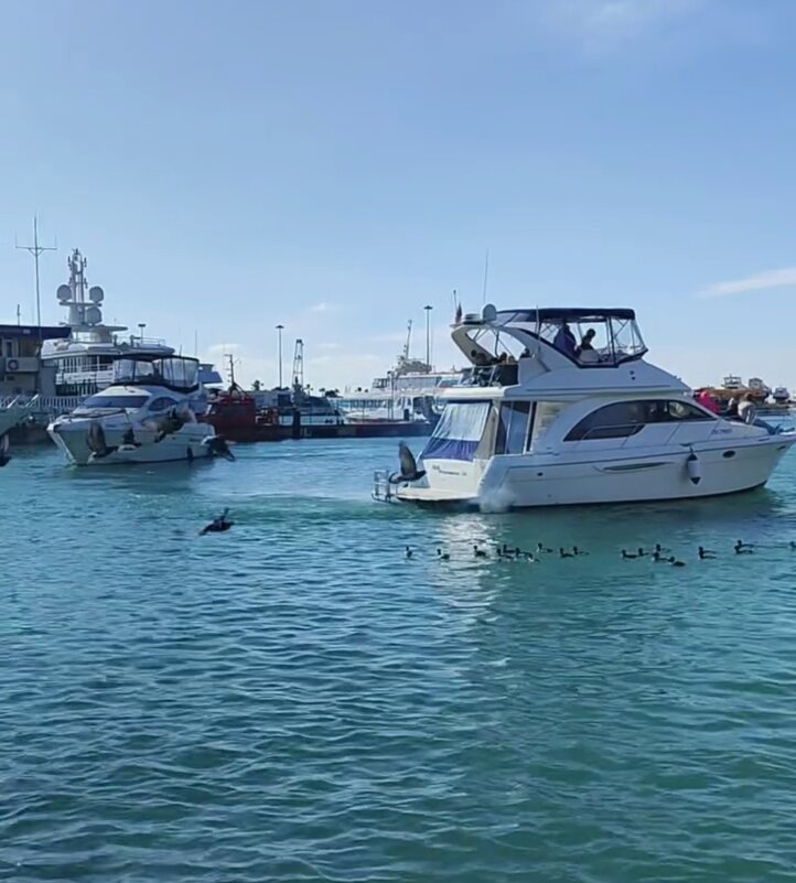 Морпорт - Serega SchütZ