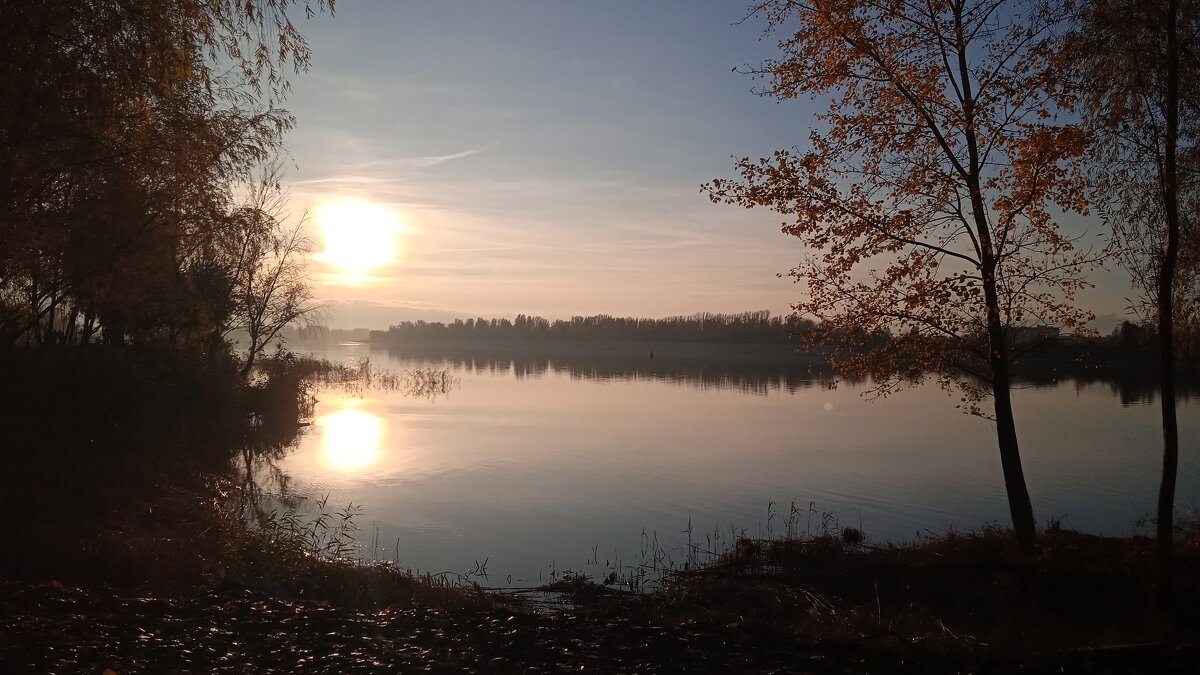 на набережной - Елена Шаламова