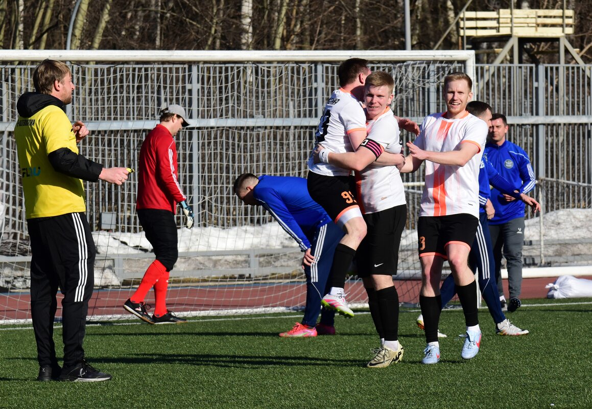 Радость победного мяча. - Наталья Вязигина