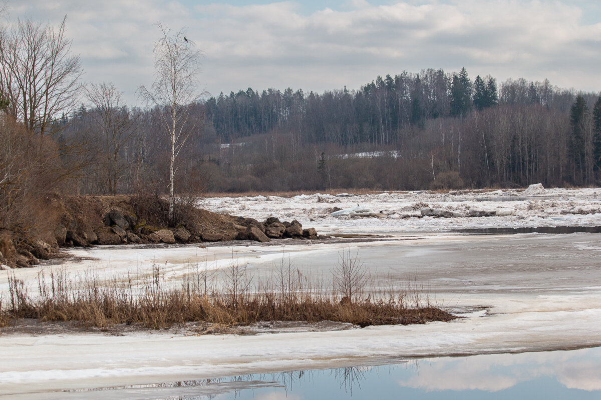 *** - Геннадий Порохов