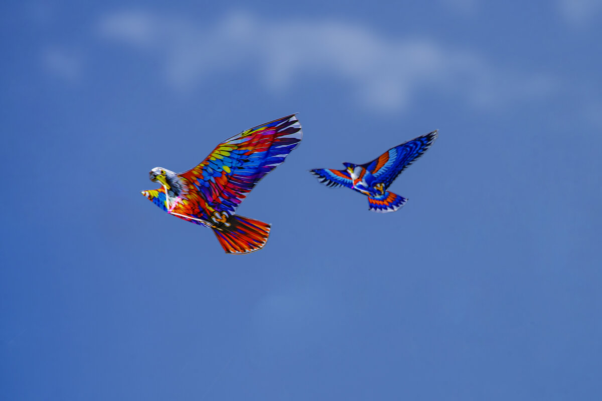 Под облаками - Анатолий Чикчирный