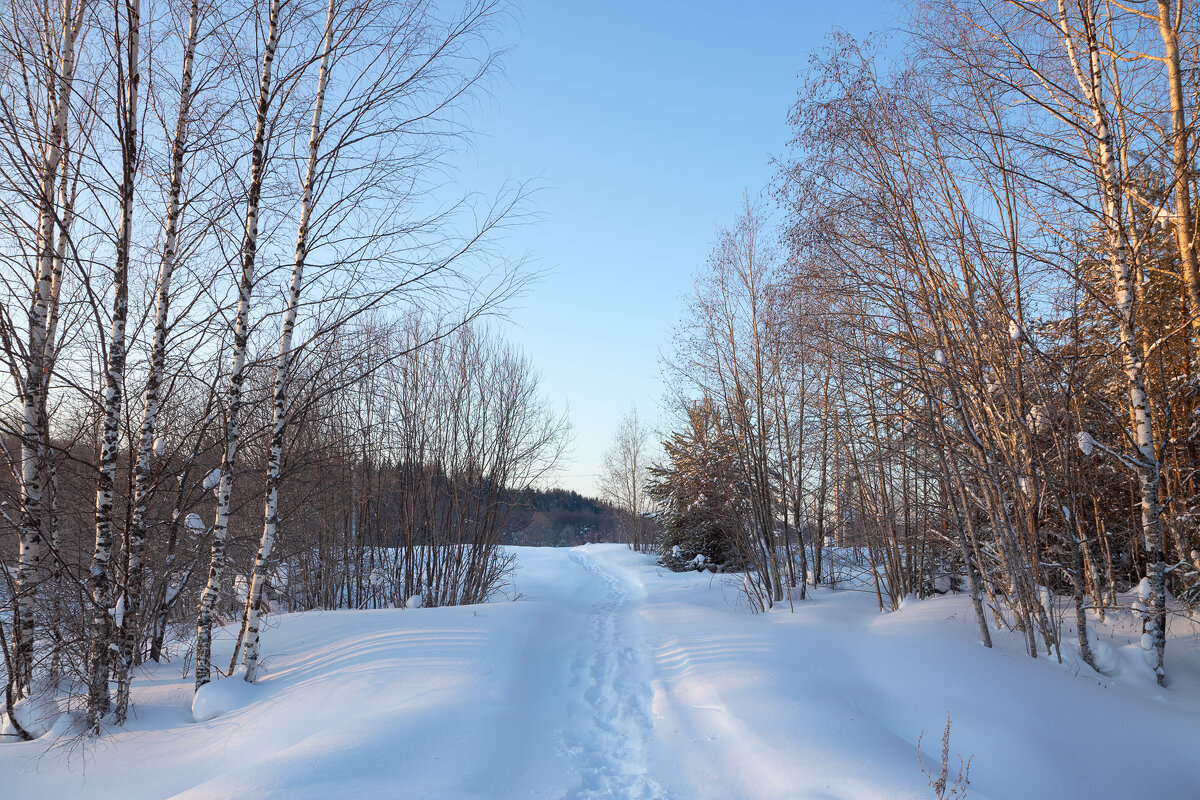 Стёжка. - Андрей Дурапов